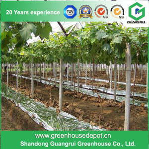 Pet Reflective Film for Grape Growing