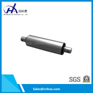 12V Tubular Linear Actuator with Max Force 2000n Hot Sale